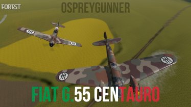 Мод «Fiat G.55 Centauro» для Ravenfield (Build 21) 2