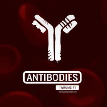 Мод "Antibodies" для Project Zomboid