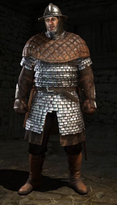 Мод «Редизайн фракции Vlandian» версия 1.0.6 для Mount & Blade II: Bannerlord 0