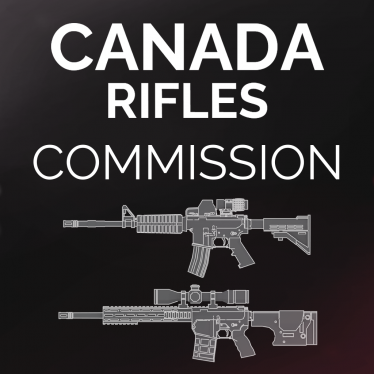 Мод «Canada Rifles Commission» для Ravenfield (Build 23)