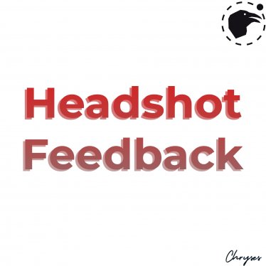 Мутатор «Headshot Feedback» для Ravenfield (Build 21)