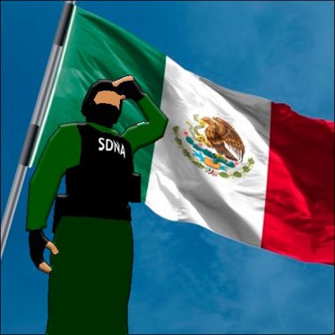 Скин «SDNA Long Live Free Mexico» для Ravenfield (Build 20)