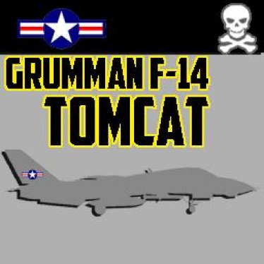 Мод «Grumman F-14 Tomcat» для Ravenfield (Build 23)