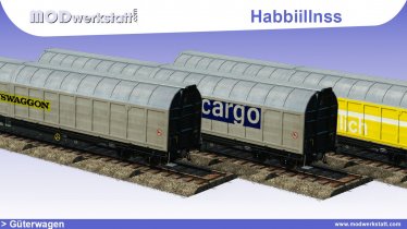 Мод «Habbiillnss» для Transport Fever 2