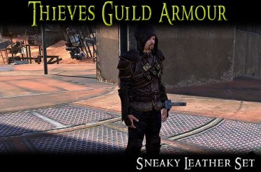 Мод "The Thieves Guild - A Skyrim Armour Mod" для Kenshi 0